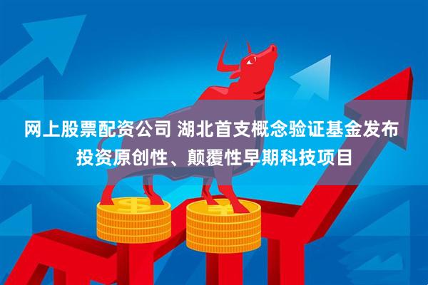 网上股票配资公司 湖北首支概念验证基金发布 投资原创性、颠覆性早期科技项目