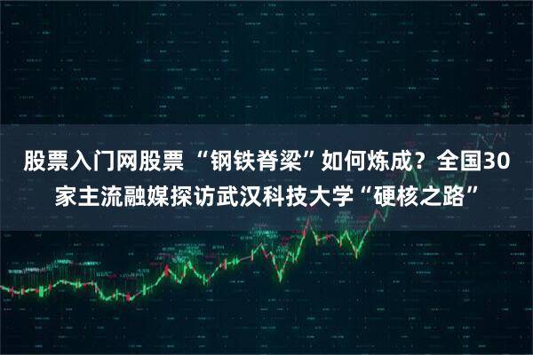 股票入门网股票 “钢铁脊梁”如何炼成？全国30家主流融媒探访武汉科技大学“硬核之路”