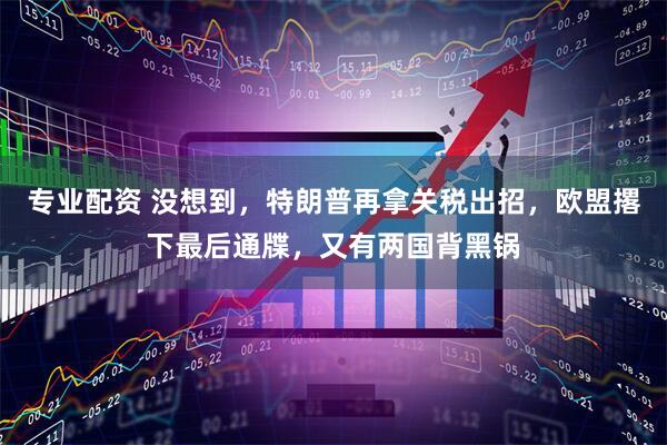 专业配资 没想到，特朗普再拿关税出招，欧盟撂下最后通牒，又有两国背黑锅