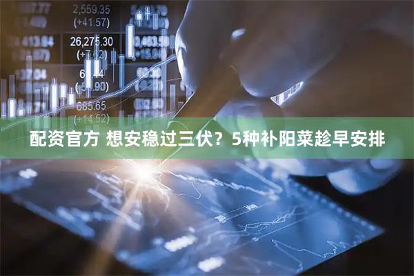 配资官方 想安稳过三伏？5种补阳菜趁早安排